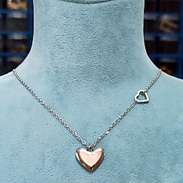 Çelik Gümüş Kaplama 🤍li Kolye