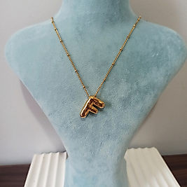 Çelik Gold Kaplama F Harfi Kolye