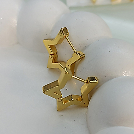 Çelik Gold 🌟 Küpe